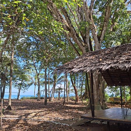 Four Monkeys Eco Lodge Cabo Matapalo Exterior foto