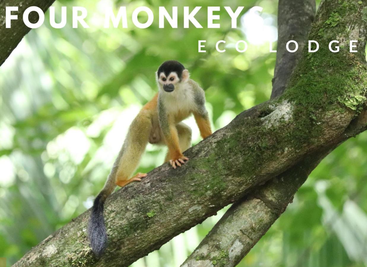 Four Monkeys Eco Lodge Cabo Matapalo Exterior foto