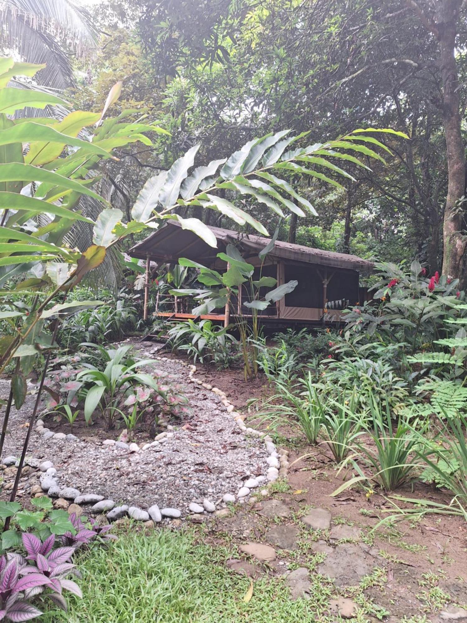 Four Monkeys Eco Lodge Cabo Matapalo Exterior foto