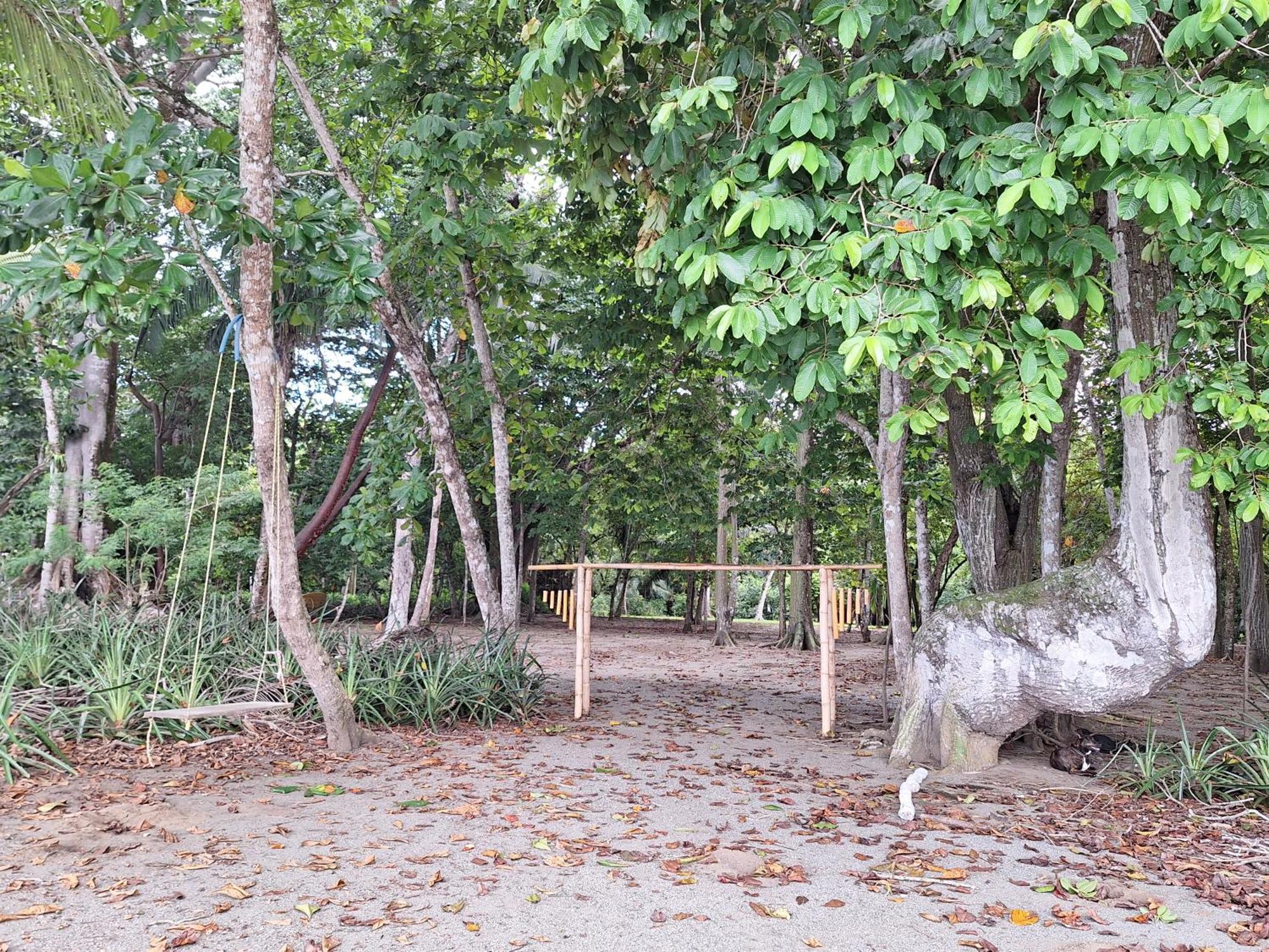 Four Monkeys Eco Lodge Cabo Matapalo Exterior foto