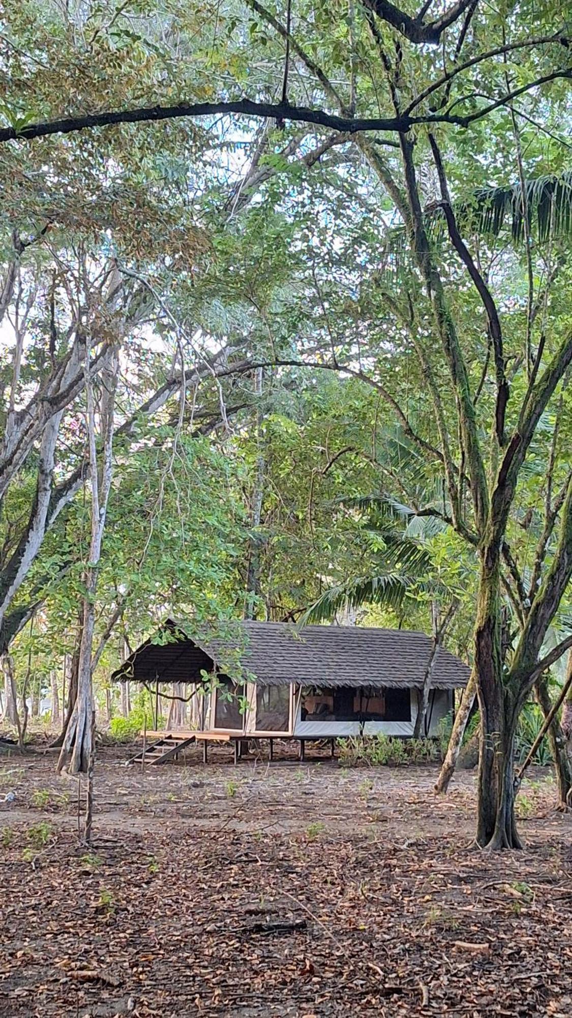 Four Monkeys Eco Lodge Cabo Matapalo Exterior foto