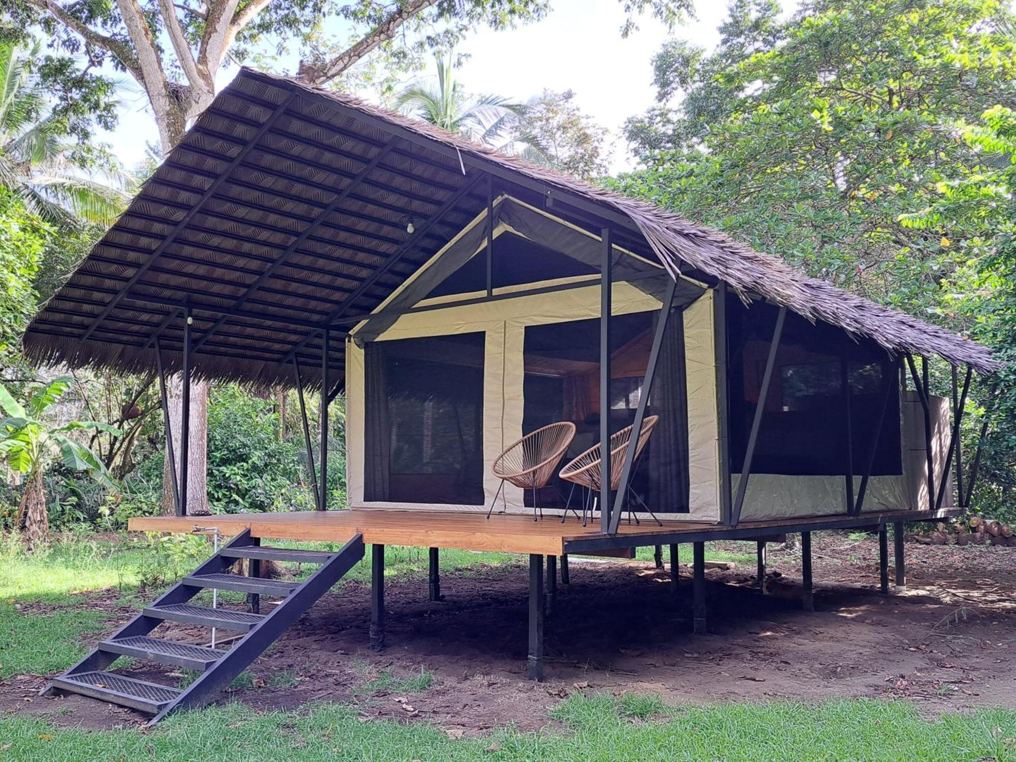 Four Monkeys Eco Lodge Cabo Matapalo Exterior foto