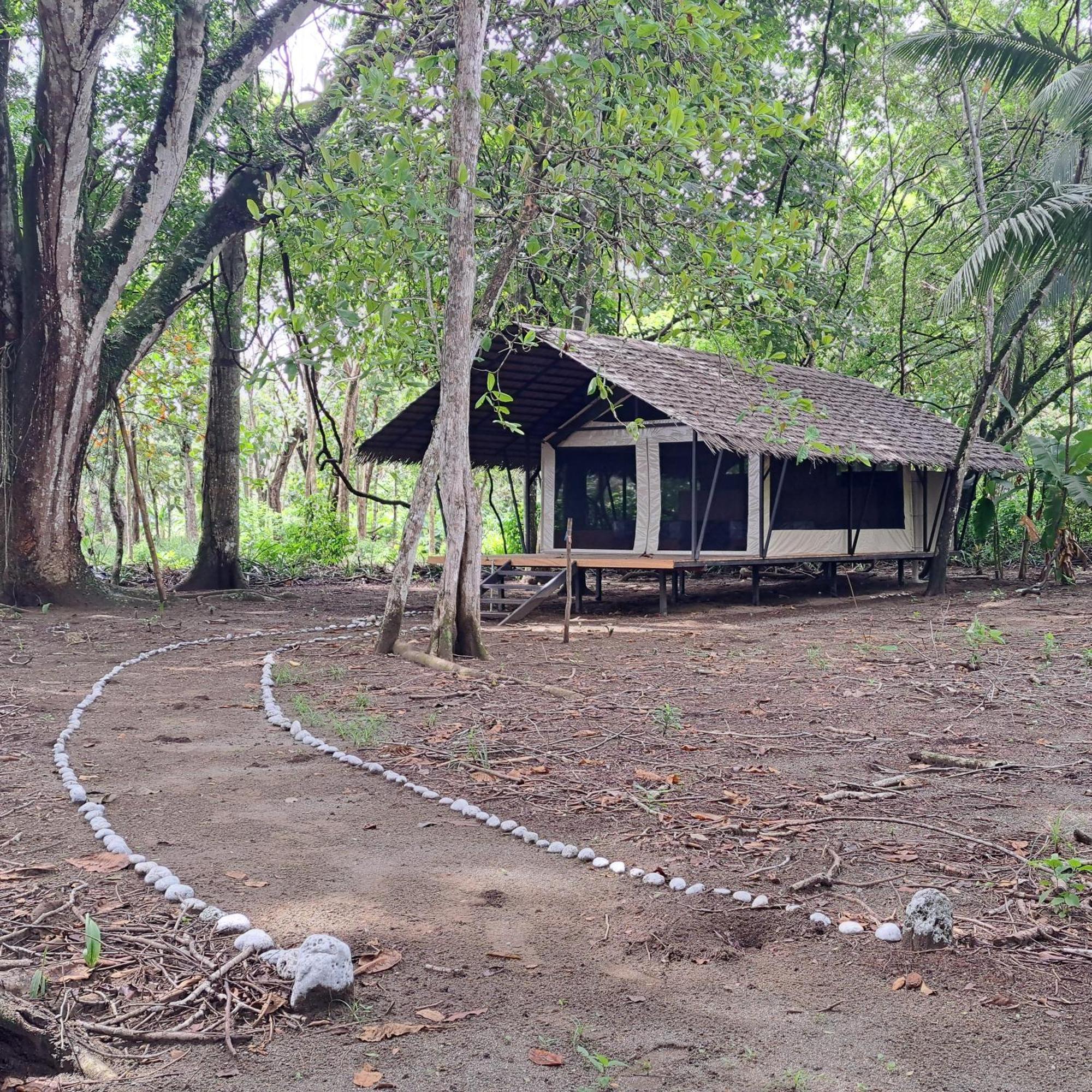 Four Monkeys Eco Lodge Cabo Matapalo Exterior foto