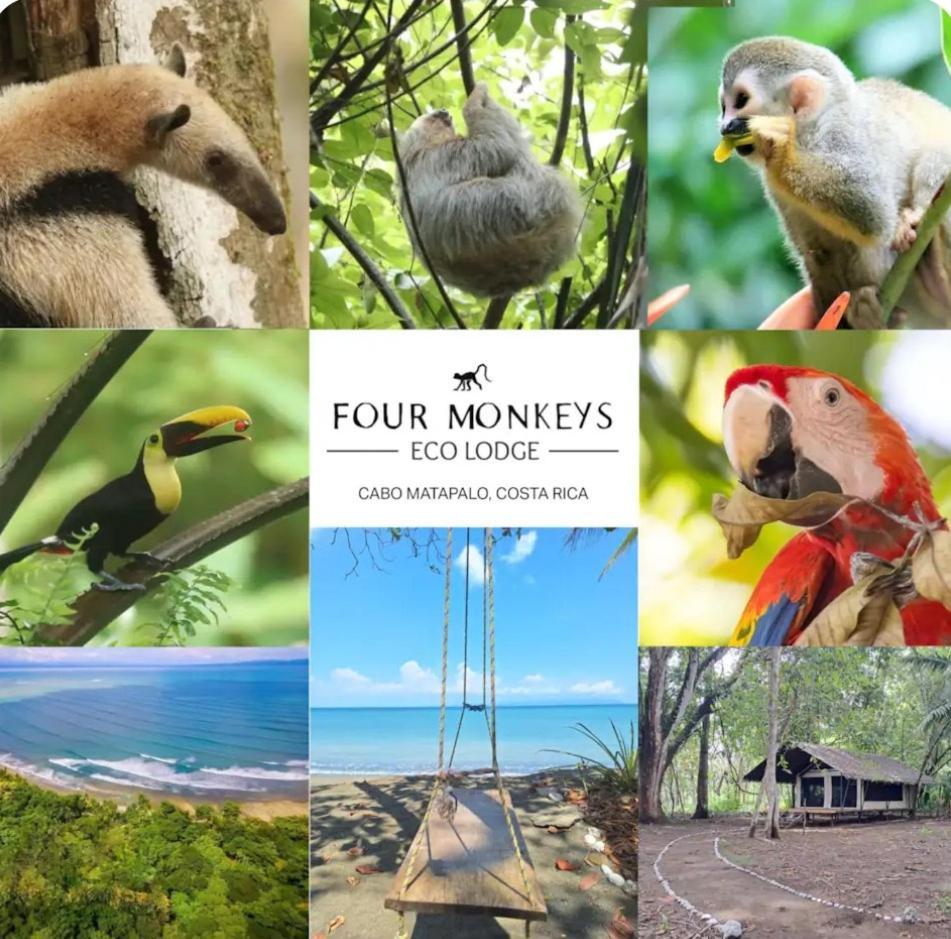 Four Monkeys Eco Lodge Cabo Matapalo Exterior foto
