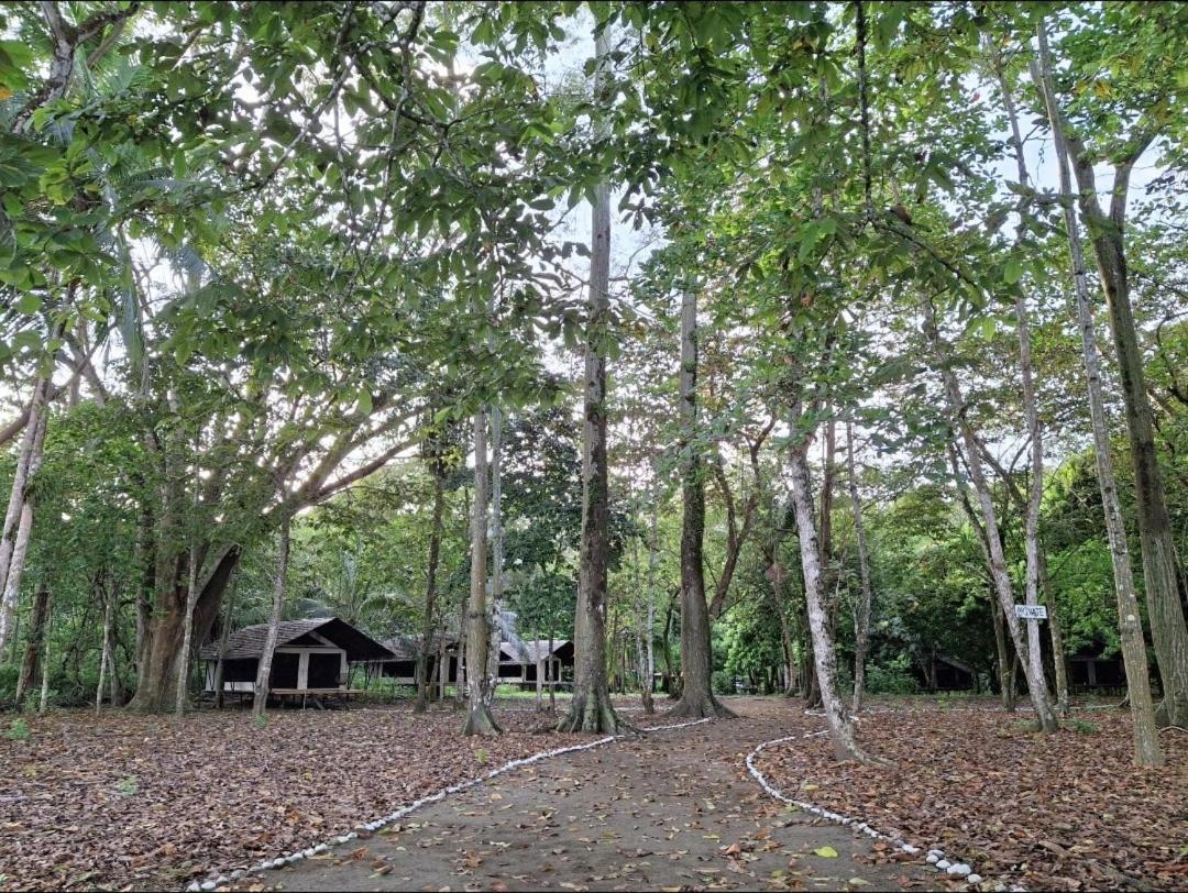 Four Monkeys Eco Lodge Cabo Matapalo Exterior foto